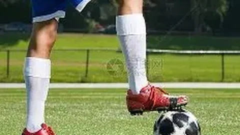 开云体育官网入口网页 资讯 101651 vbd