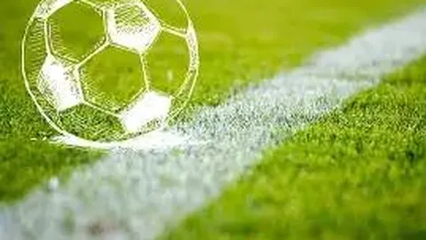 开云体育官网入口网页 产品 093150 69k