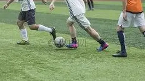 开云体育官网入口网页 产品 090528 tp6