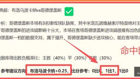 开云体育官网入，开云体育App，口网页 123307 53